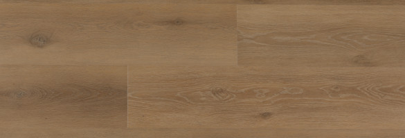 152206 v2